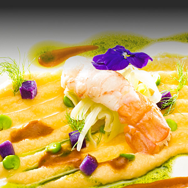 Sea bream fillet with prawns